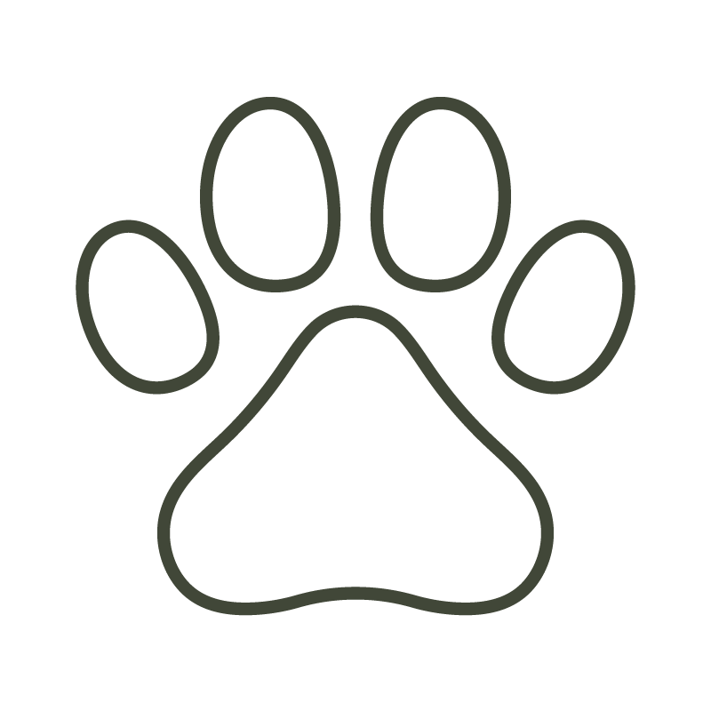 Ambientes Pet Friendly